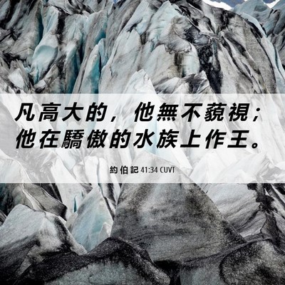Picture 06 - 約 伯 記 41:34 CUVT - 凡 高 大 的 ， 他 無 不 藐 視 ； 他 - Bible Verse Picture