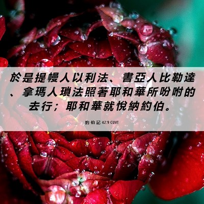 Picture 06 - 約 伯 記 42:9 CUVT - 於 是 提 幔 人 以 利 法 、 書 亞 人 - Bible Verse Picture