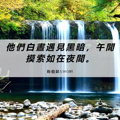 Picture 06 - 約 伯 記 5:14 CUVT - 他 們 白 晝 遇 見 黑 暗 ， 午 間 摸 - Bible Verse Picture