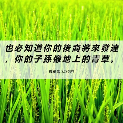 Picture 06 - 約 伯 記 5:25 CUVT - 也 必 知 道 你 的 後 裔 將 來 發 達 - Bible Verse Picture