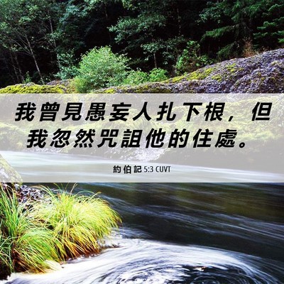 Picture 06 - 約 伯 記 5:3 CUVT - 我 曾 見 愚 妄 人 扎 下 根 ， 但 我 - Bible Verse Picture