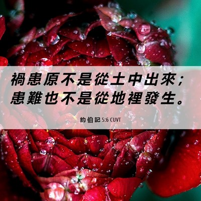 Picture 06 - 約 伯 記 5:6 CUVT - 禍 患 原 不 是 從 土 中 出 來 ； 患 - Bible Verse Picture