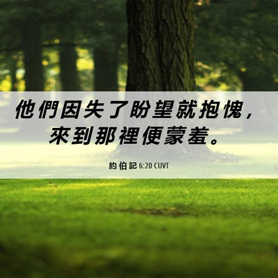 Picture 06 - 約 伯 記 6:20 CUVT - 他 們 因 失 了 盼 望 就 抱 愧 ， 來 - Bible Verse Picture