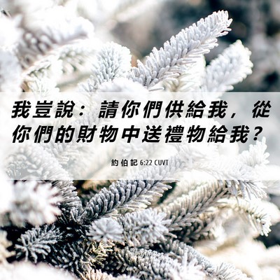 Picture 06 - 約 伯 記 6:22 CUVT - 我 豈 說 ： 請 你 們 供 給 我 ， 從 - Bible Verse Picture