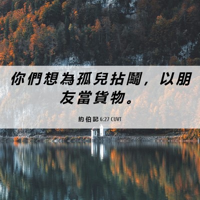 Picture 06 - 約 伯 記 6:27 CUVT - 你 們 想 為 孤 兒 拈 鬮 ， 以 朋 友 - Bible Verse Picture