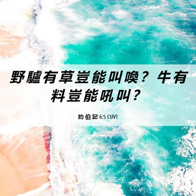 Picture 06 - 約 伯 記 6:5 CUVT - 野 驢 有 草 豈 能 叫 喚 ？ 牛 有 料 - Bible Verse Picture