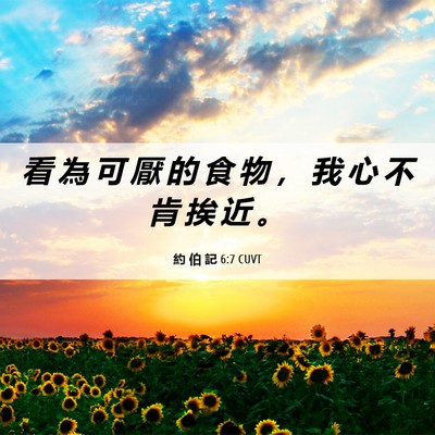 Picture 06 - 約 伯 記 6:7 CUVT - 看 為 可 厭 的 食 物 ， 我 心 不 肯 - Bible Verse Picture
