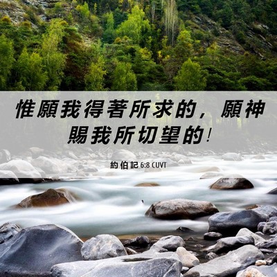 Picture 06 - 約 伯 記 6:8 CUVT - 惟 願 我 得 著 所 求 的 ， 願 神 賜 - Bible Verse Picture