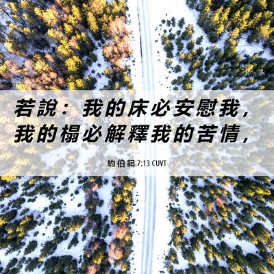 Picture 06 - 約 伯 記 7:13 CUVT - 若 說 ： 我 的 床 必 安 慰 我 ， 我 - Bible Verse Picture
