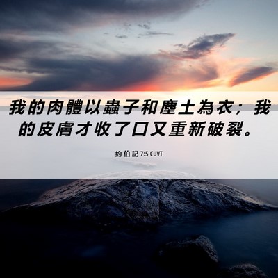 Picture 06 - 約 伯 記 7:5 CUVT - 我 的 肉 體 以 蟲 子 和 塵 土 為 衣 - Bible Verse Picture