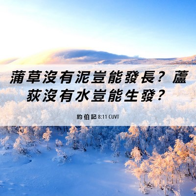 Picture 06 - 約 伯 記 8:11 CUVT - 蒲 草 沒 有 泥 豈 能 發 長 ？ 蘆 荻 - Bible Verse Picture