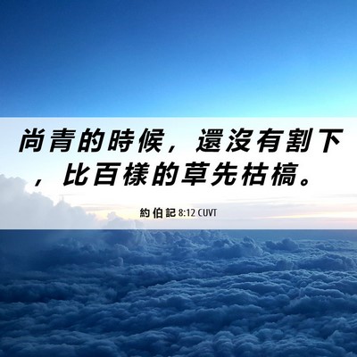 Picture 06 - 約 伯 記 8:12 CUVT - 尚 青 的 時 候 ， 還 沒 有 割 下 ， - Bible Verse Picture