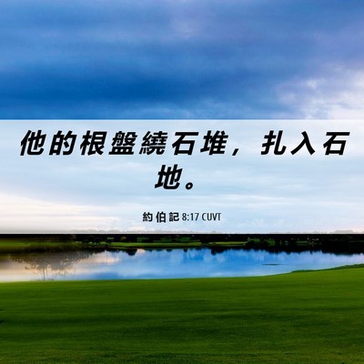 Picture 06 - 約 伯 記 8:17 CUVT - 他 的 根 盤 繞 石 堆 ， 扎 入 石 地 - Bible Verse Picture