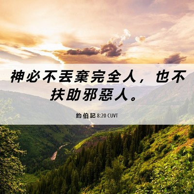 Picture 06 - 約 伯 記 8:20 CUVT - 神 必 不 丟 棄 完 全 人 ， 也 不 扶 - Bible Verse Picture