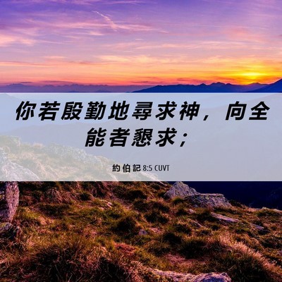 Picture 06 - 約 伯 記 8:5 CUVT - 你 若 殷 勤 地 尋 求 神 ， 向 全 能 - Bible Verse Picture