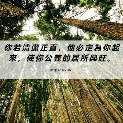 Picture 06 - 約 伯 記 8:6 CUVT - 你 若 清 潔 正 直 ， 他 必 定 為 你 - Bible Verse Picture