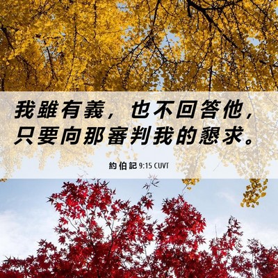 Picture 06 - 約 伯 記 9:15 CUVT - 我 雖 有 義 ， 也 不 回 答 他 ， 只 - Bible Verse Picture