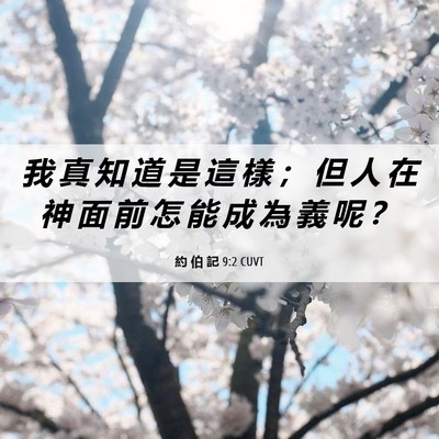 Picture 06 - 約 伯 記 9:2 CUVT - 我 真 知 道 是 這 樣 ； 但 人 在 神 - Bible Verse Picture