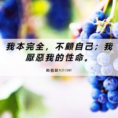 Picture 06 - 約 伯 記 9:21 CUVT - 我 本 完 全 ， 不 顧 自 己 ； 我 厭 - Bible Verse Picture