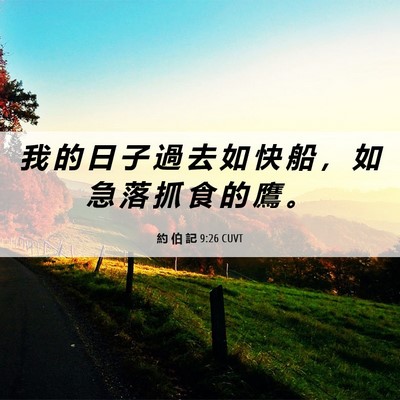 Picture 06 - 約 伯 記 9:26 CUVT - 我 的 日 子 過 去 如 快 船 ， 如 急 - Bible Verse Picture