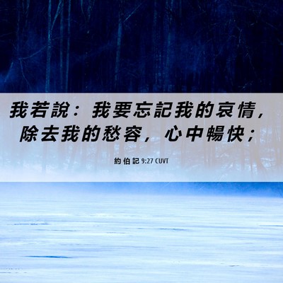 Picture 06 - 約 伯 記 9:27 CUVT - 我 若 說 ： 我 要 忘 記 我 的 哀 情 - Bible Verse Picture