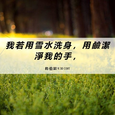 Picture 06 - 約 伯 記 9:30 CUVT - 我 若 用 雪 水 洗 身 ， 用 鹼 潔 淨 - Bible Verse Picture