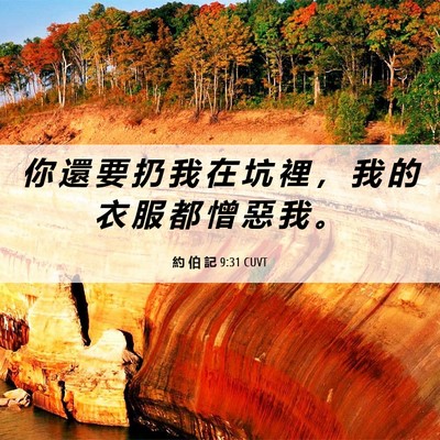 Picture 06 - 約 伯 記 9:31 CUVT - 你 還 要 扔 我 在 坑 裡 ， 我 的 衣 - Bible Verse Picture