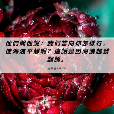 Picture 06 - 約 拿 書 1:11 CUVT - 他 們 問 他 說 ： 我 們 當 向 你 怎 - Bible Verse Picture