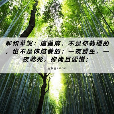 Picture 06 - 約 拿 書 4:10 CUVT - 耶 和 華 說 ： 這 蓖 麻 ， 不 是 你 - Bible Verse Picture