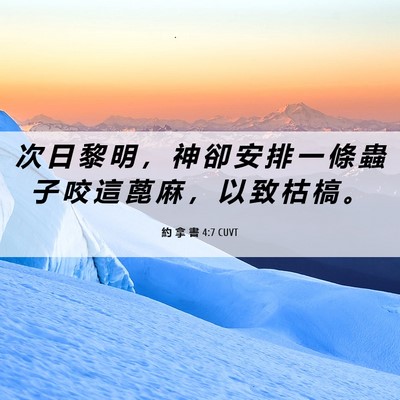 Picture 06 - 約 拿 書 4:7 CUVT - 次 日 黎 明 ， 神 卻 安 排 一 條 蟲 - Bible Verse Picture