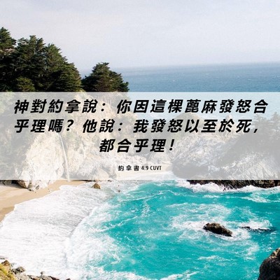 Picture 06 - 約 拿 書 4:9 CUVT - 神 對 約 拿 說 ： 你 因 這 棵 蓖 麻 - Bible Verse Picture
