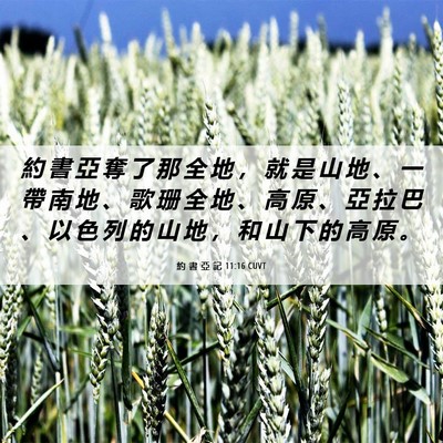 Picture 06 - 約 書 亞 記 11:16 CUVT - 約 書 亞 奪 了 那 全 地 ， 就 是 山 - Bible Verse Picture