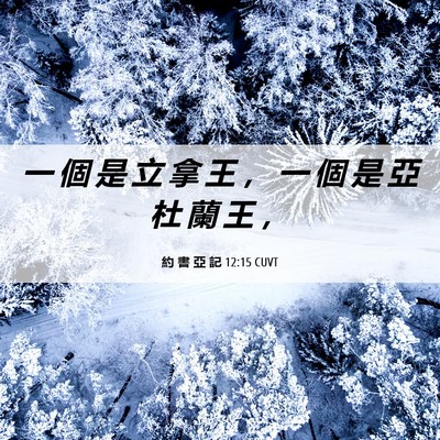 Picture 06 - 約 書 亞 記 12:15 CUVT - 一 個 是 立 拿 王 ， 一 個 是 亞 杜 - Bible Verse Picture