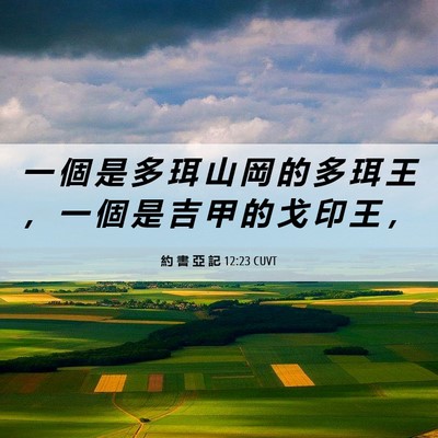 Picture 06 - 約 書 亞 記 12:23 CUVT - 一 個 是 多 珥 山 岡 的 多 珥 王 ， - Bible Verse Picture