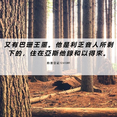 Picture 06 - 約 書 亞 記 12:4 CUVT - 又 有 巴 珊 王 噩 。 他 是 利 乏 音 - Bible Verse Picture