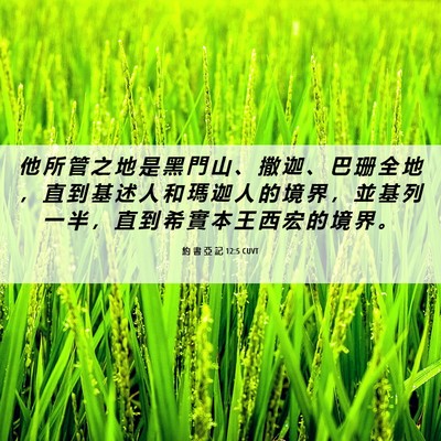 Picture 06 - 約 書 亞 記 12:5 CUVT - 他 所 管 之 地 是 黑 門 山 、 撒 迦 - Bible Verse Picture