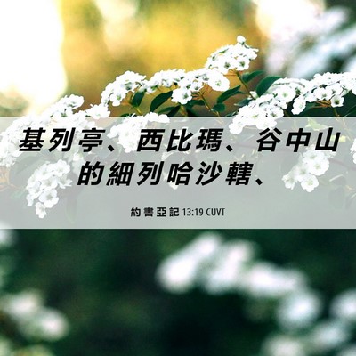 Picture 06 - 約 書 亞 記 13:19 CUVT - 基 列 亭 、 西 比 瑪 、 谷 中 山 的 - Bible Verse Picture