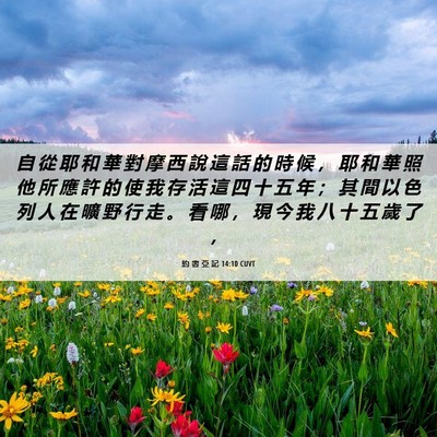 Picture 06 - 約 書 亞 記 14:10 CUVT - 自 從 耶 和 華 對 摩 西 說 這 話 的 - Bible Verse Picture