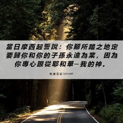 Picture 06 - 約 書 亞 記 14:9 CUVT - 當 日 摩 西 起 誓 說 ： 你 腳 所 踏 - Bible Verse Picture