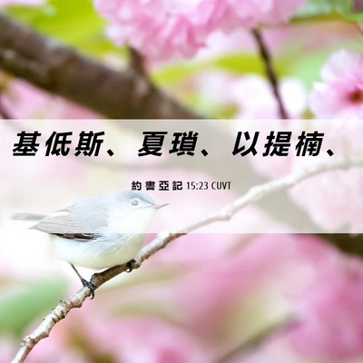 Picture 06 - 約 書 亞 記 15:23 CUVT - 基 低 斯 、 夏 瑣 、 以 提 楠 - Bible Verse Picture