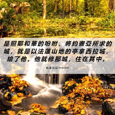 Picture 06 - 約 書 亞 記 19:50 CUVT - 是 照 耶 和 華 的 吩 咐 ， 將 約 書 - Bible Verse Picture