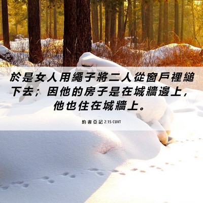 Picture 06 - 約 書 亞 記 2:15 CUVT - 於 是 女 人 用 繩 子 將 二 人 從 窗 - Bible Verse Picture