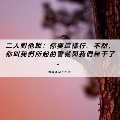 Picture 06 - 約 書 亞 記 2:17 CUVT - 二 人 對 他 說 ： 你 要 這 樣 行 。 - Bible Verse Picture
