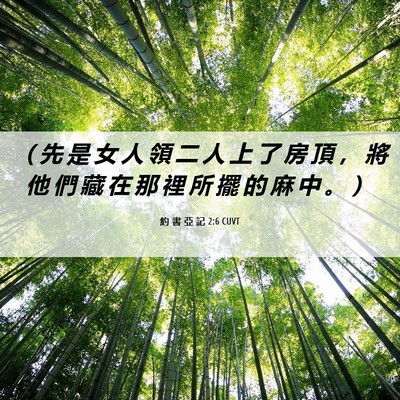 Picture 06 - 約 書 亞 記 2:6 CUVT - （ 先 是 女 人 領 二 人 上 了 房 頂 - Bible Verse Picture