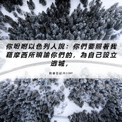Picture 06 - 約 書 亞 記 20:2 CUVT - 你 吩 咐 以 色 列 人 說 ： 你 們 要 - Bible Verse Picture