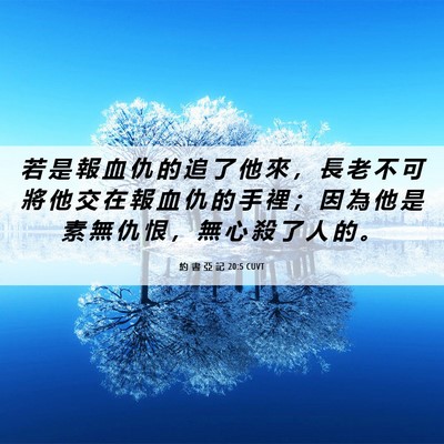 Picture 06 - 約 書 亞 記 20:5 CUVT - 若 是 報 血 仇 的 追 了 他 來 ， 長 - Bible Verse Picture