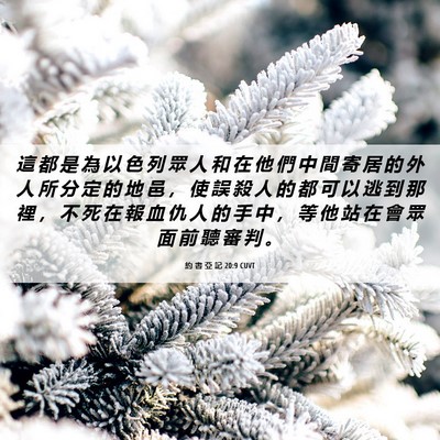 Picture 06 - 約 書 亞 記 20:9 CUVT - 這 都 是 為 以 色 列 眾 人 和 在 他 - Bible Verse Picture