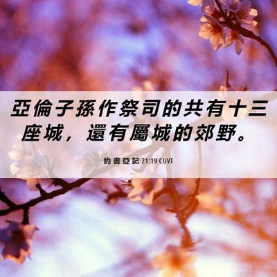 Picture 06 - 約 書 亞 記 21:19 CUVT - 亞 倫 子 孫 作 祭 司 的 共 有 十 三 - Bible Verse Picture
