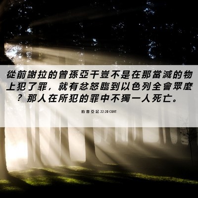Picture 06 - 約 書 亞 記 22:20 CUVT - 從 前 謝 拉 的 曾 孫 亞 干 豈 不 是 - Bible Verse Picture