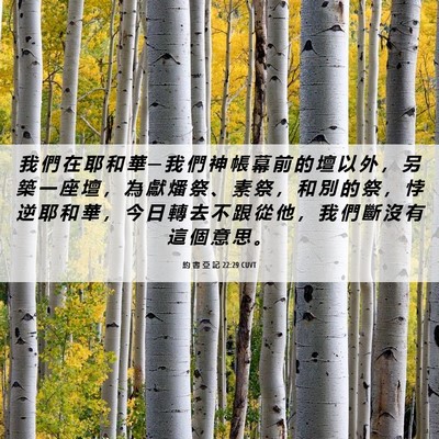 Picture 06 - 約 書 亞 記 22:29 CUVT - 我 們 在 耶 和 華 ─ 我 們 神 帳 幕 - Bible Verse Picture